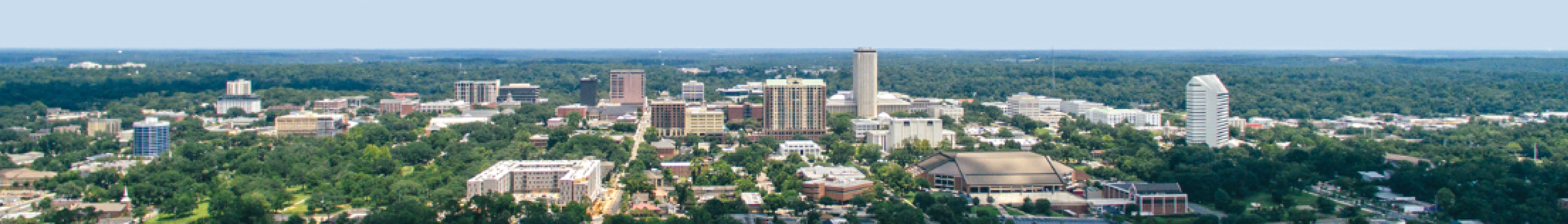 Image From Tallahassee